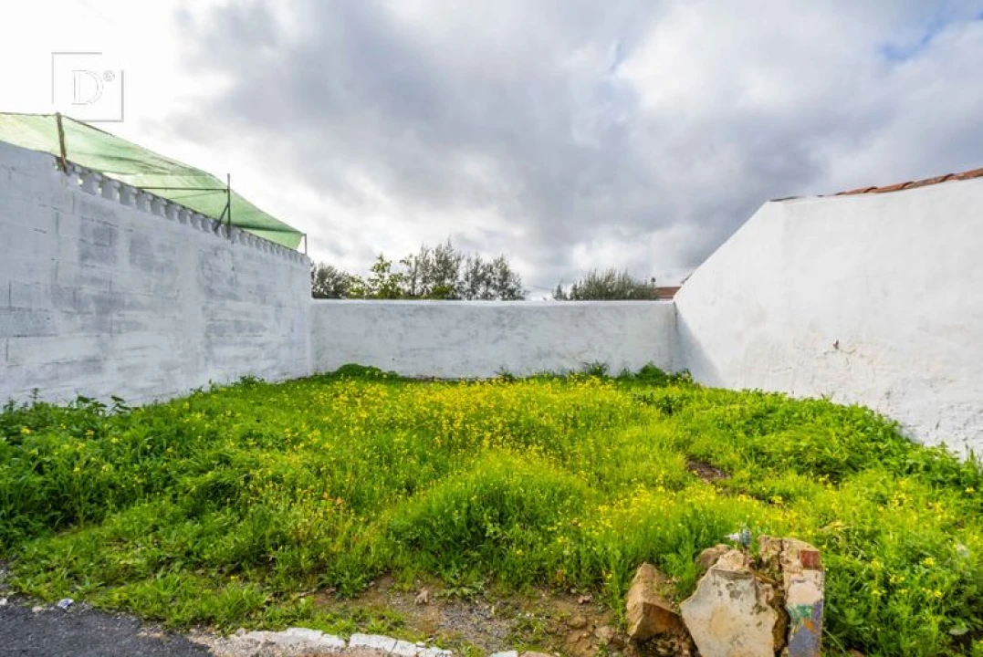 Terreno para Venda em Almodôvar e Graça dos Padrões Foto 3