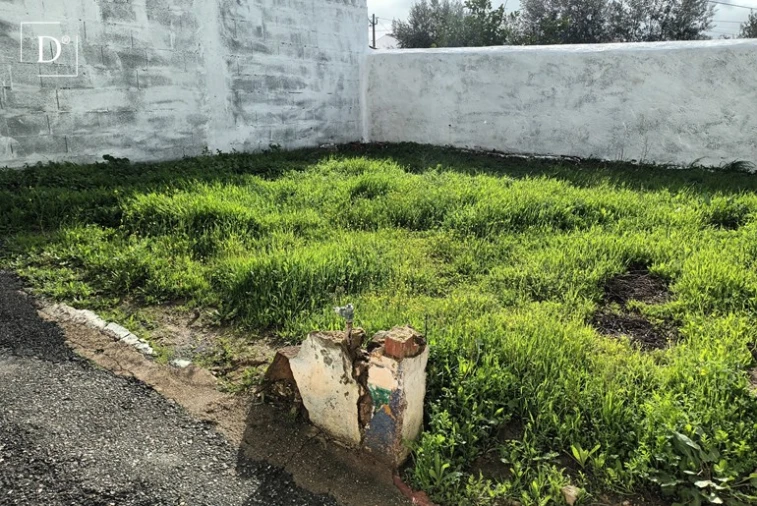 Terreno para Venda em Almodôvar e Graça dos Padrões Foto 3