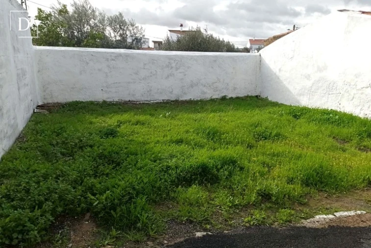 Terreno para Venda em Almodôvar e Graça dos Padrões