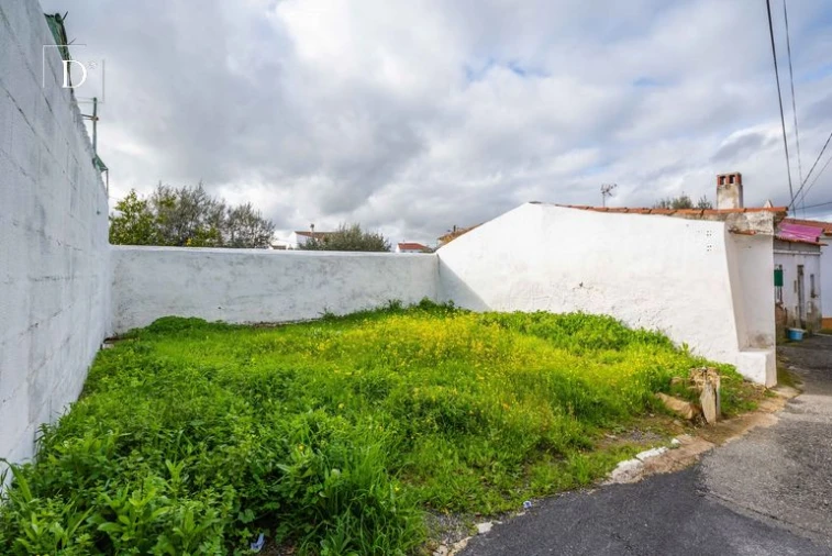 Terreno para Venda em Almodôvar e Graça dos Padrões Foto 2