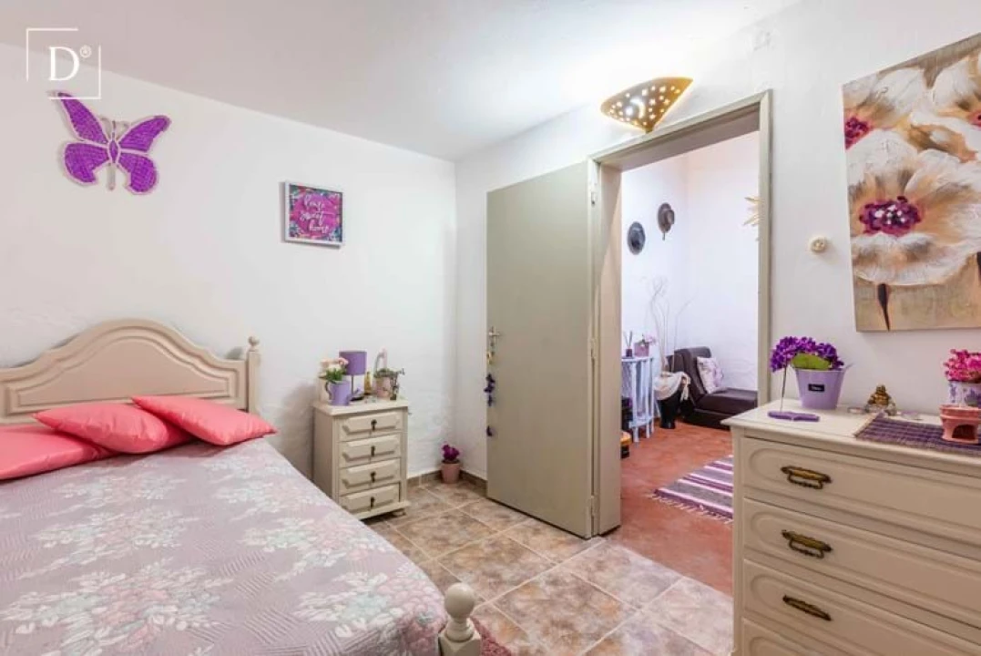 Moradia T1 para Venda em Almodôvar e Graça dos Padrões Foto 4