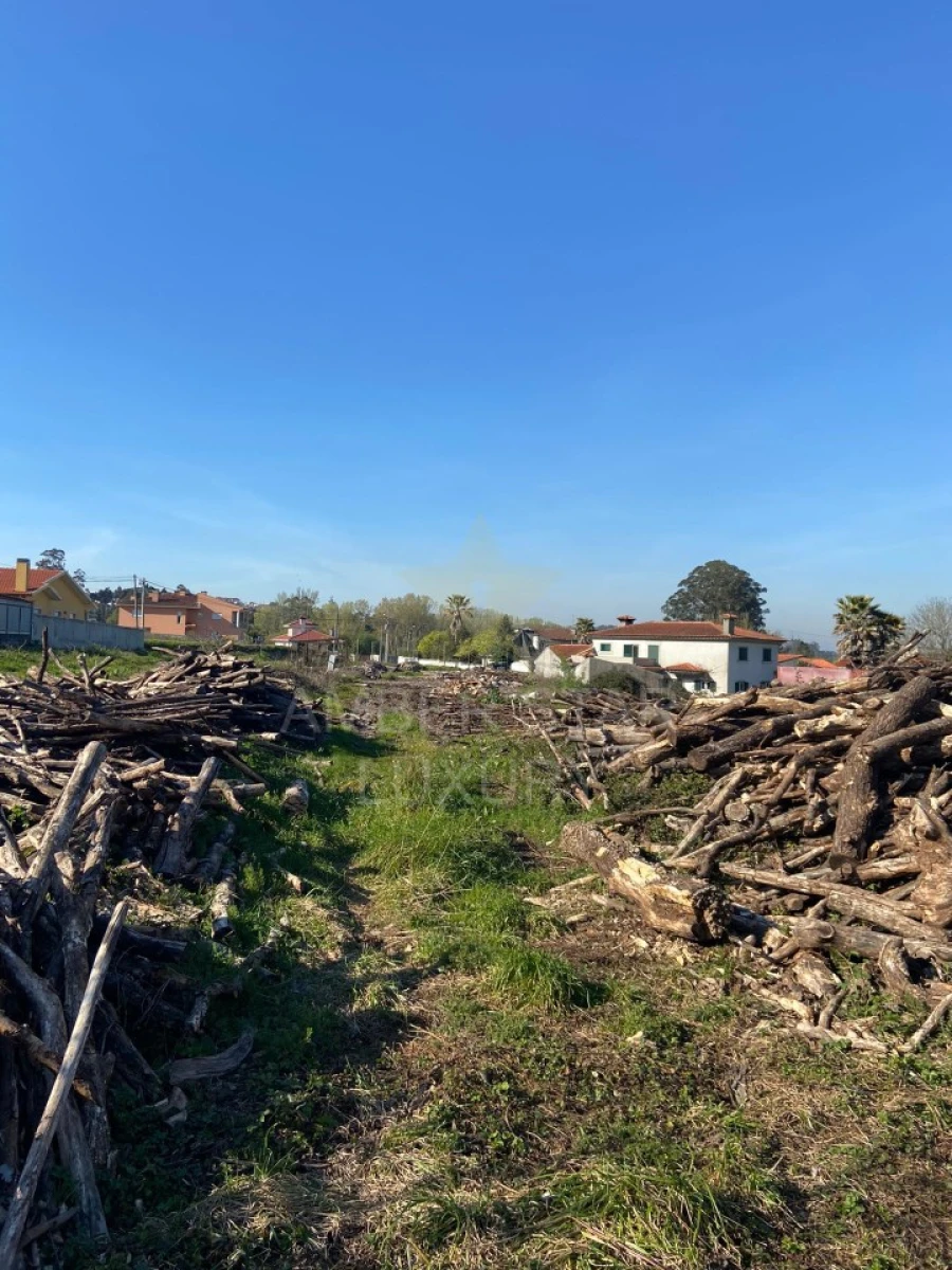 Terreno para Venda em Santa Maria da Feira, Travanca, Sanfins e Espargo Foto 3