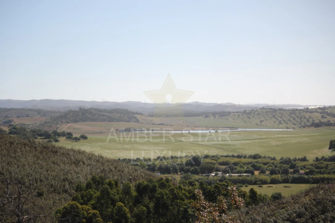 Terreno para Venda em Mexilhoeira Grande Foto 8