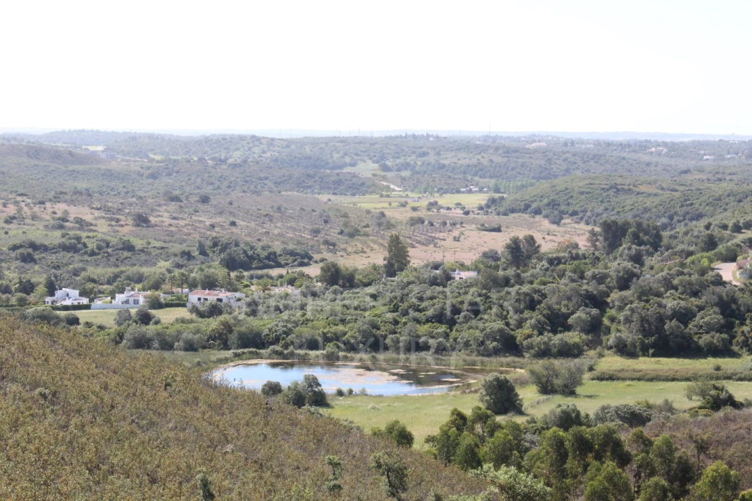 Terreno para Venda em Mexilhoeira Grande Foto 15