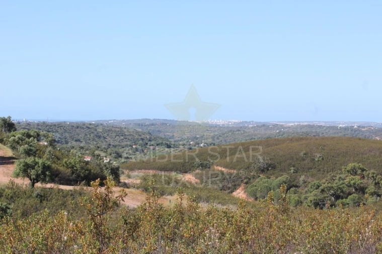 Terreno para Venda em Mexilhoeira Grande Foto 14