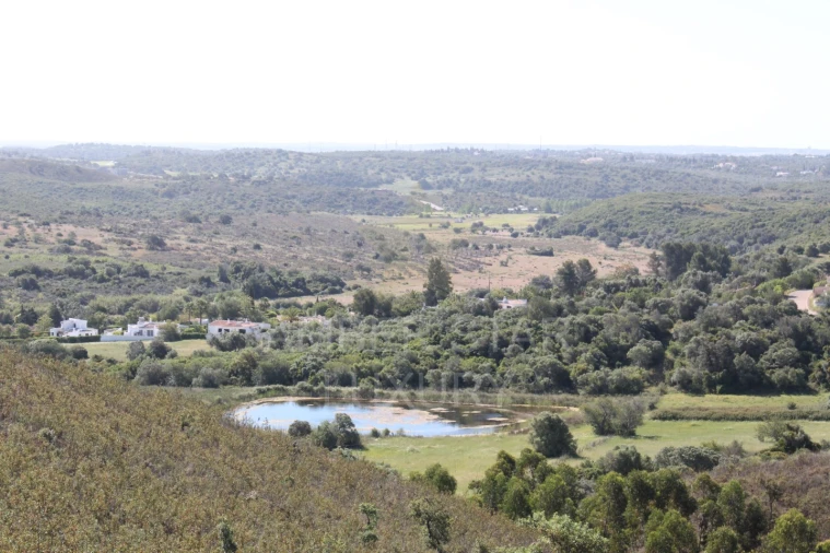 Terreno para Venda em Mexilhoeira Grande Foto 15