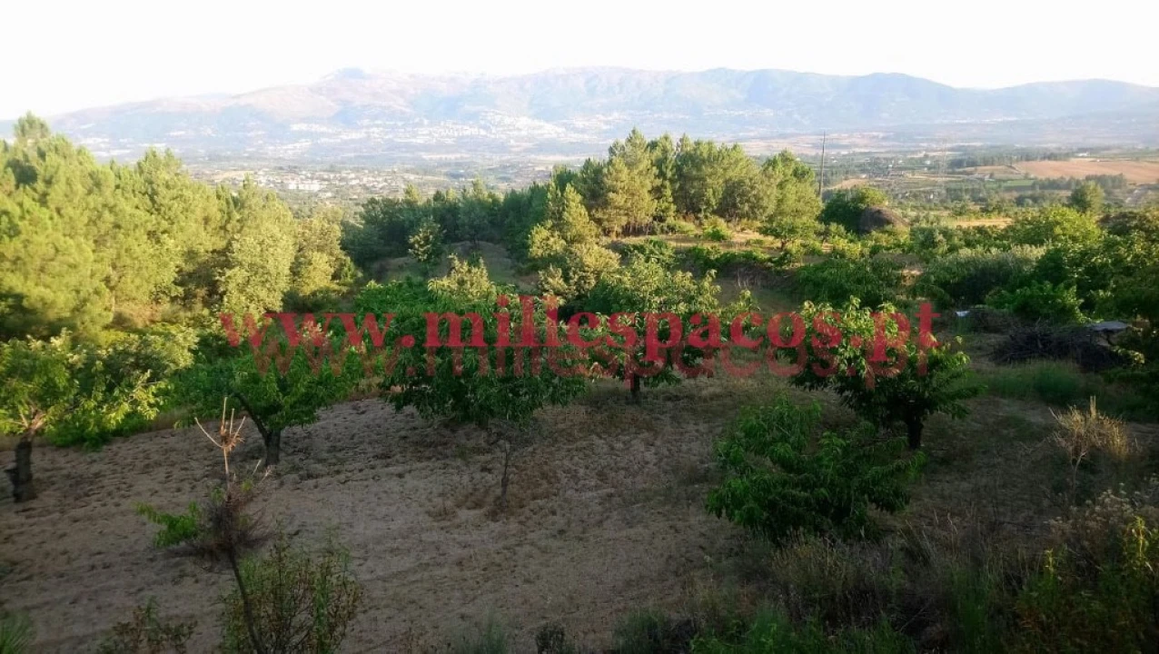 Terreno para Venda em Ferro Foto 13