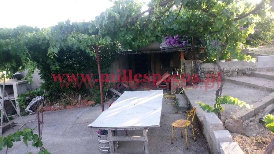 Terreno para Venda em Ferro Foto 2