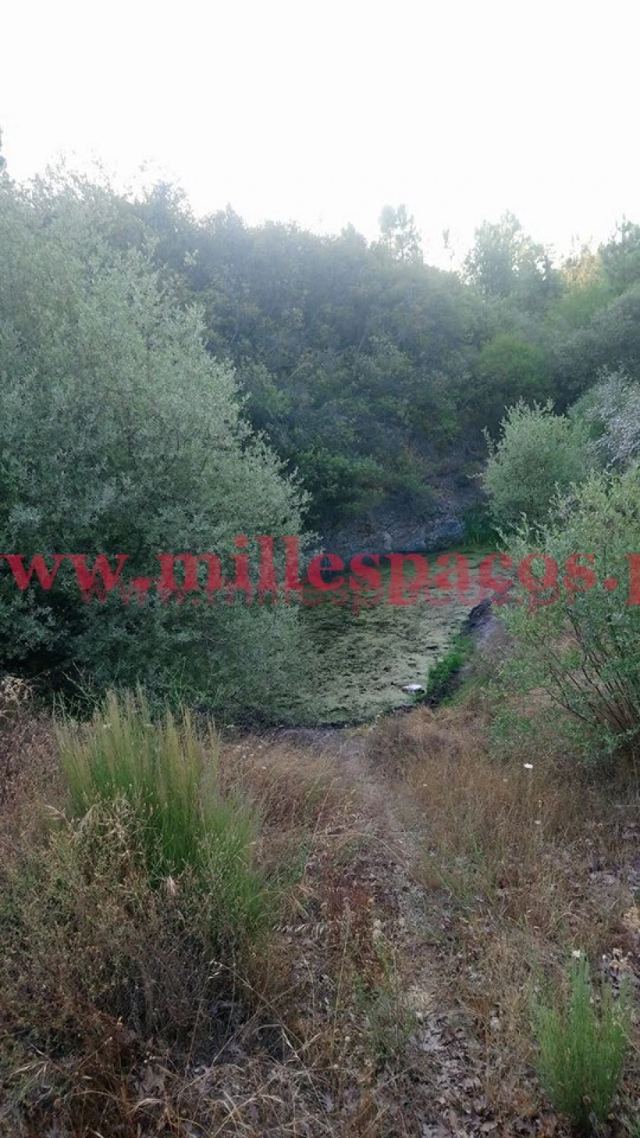 Terreno para Venda em Ferro Foto 14