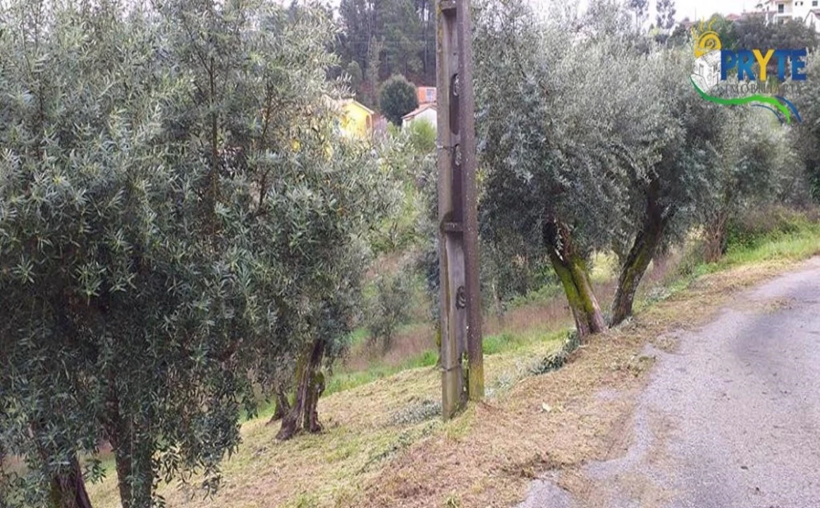 Terreno para Venda em Sertã Foto 4