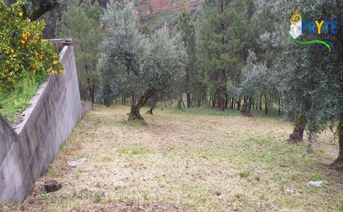 Terreno para Venda em Sertã Foto 7