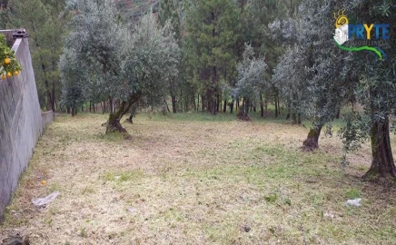 Terreno para Venda em Sertã