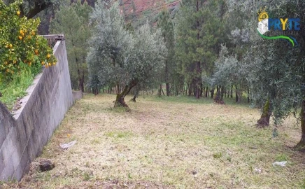 Terreno para Venda em Sertã