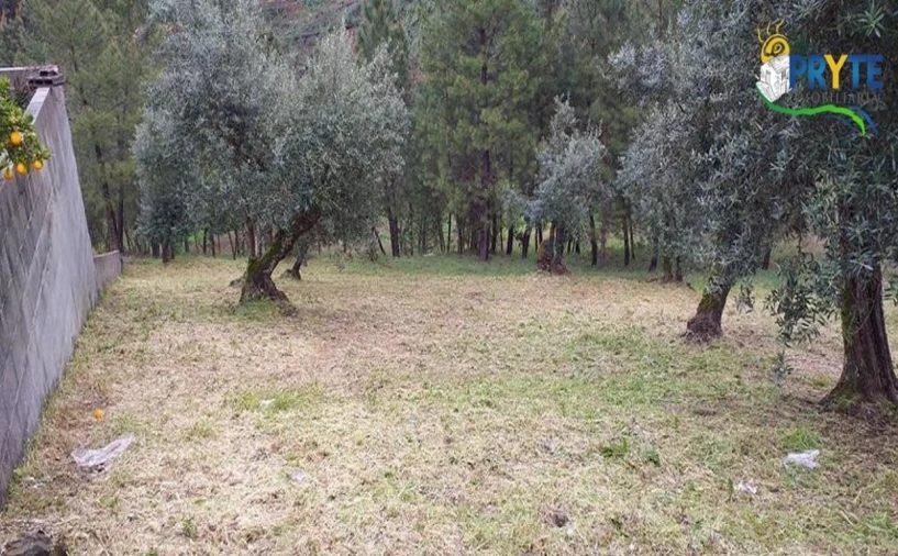 Terreno para Venda em Sertã
