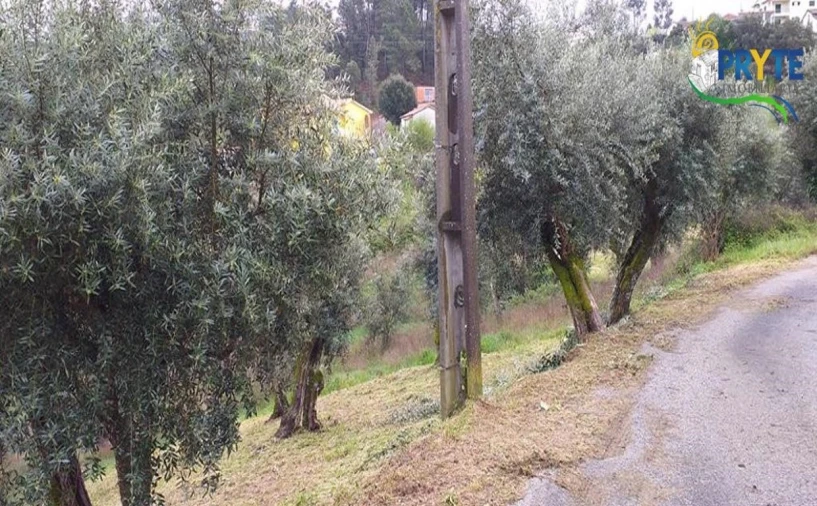 Terreno para Venda em Sertã Foto 4