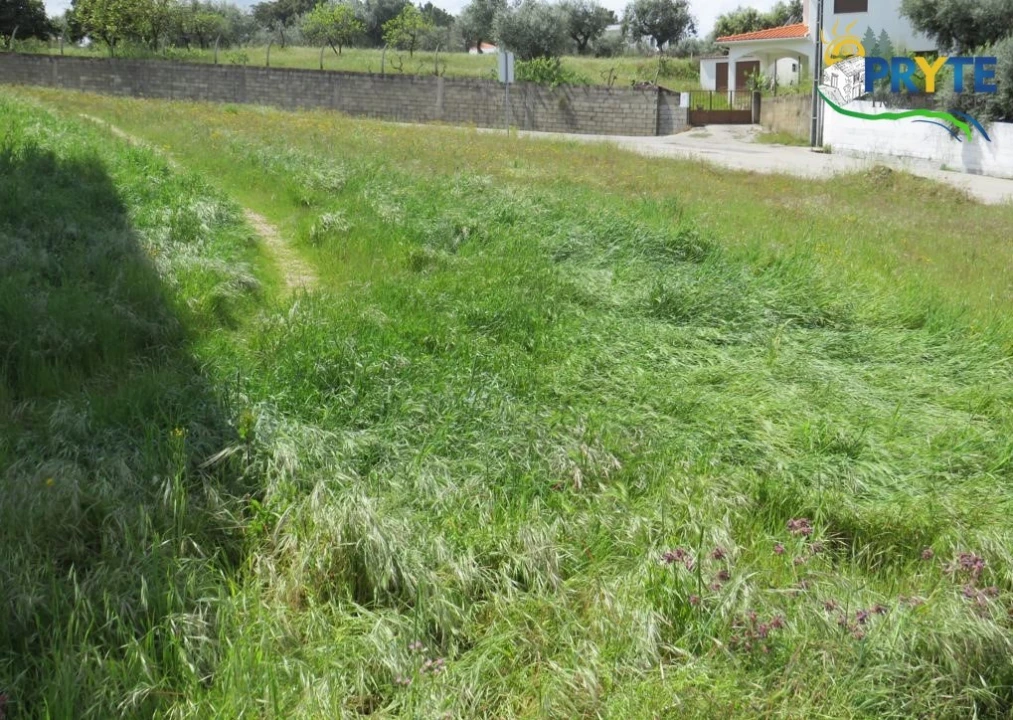 Terreno para Venda em Sertã Foto 2