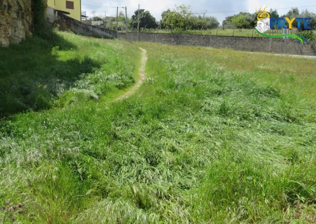 Terreno para Venda em Sertã Foto 3