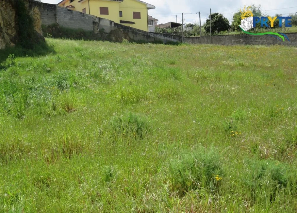 Terreno para Venda em Sertã Foto 4