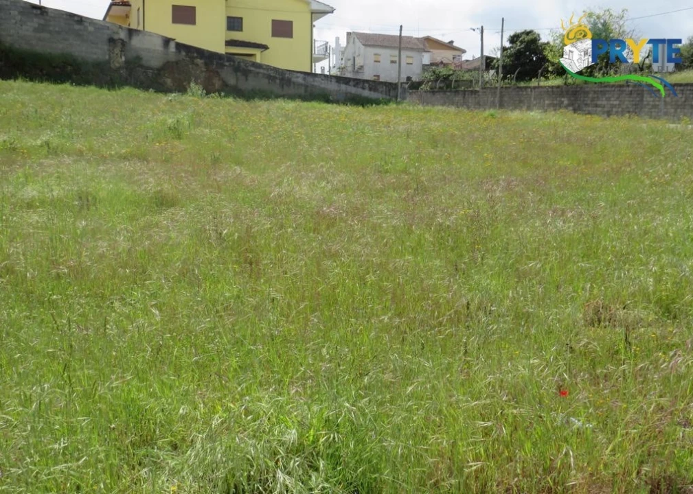 Terreno para Venda em Sertã Foto 8
