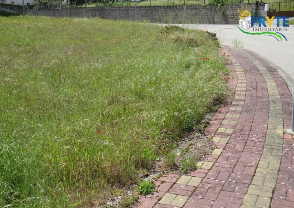 Terreno para Venda em Sertã Foto 9
