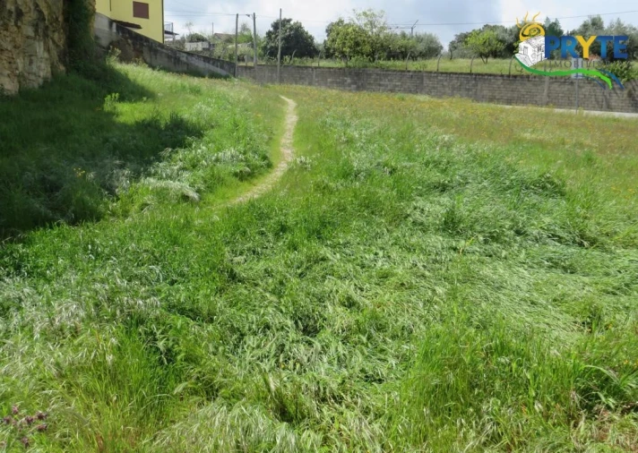 Terreno para Venda em Sertã Foto 3