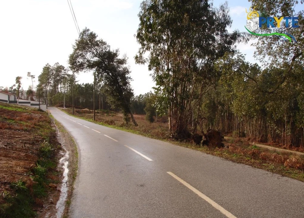 Terreno para Venda em Cernache do Bonjardim, Nesperal e Palhais Foto 2