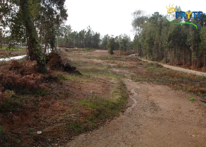 Terreno para Venda em Cernache do Bonjardim, Nesperal e Palhais Foto 1