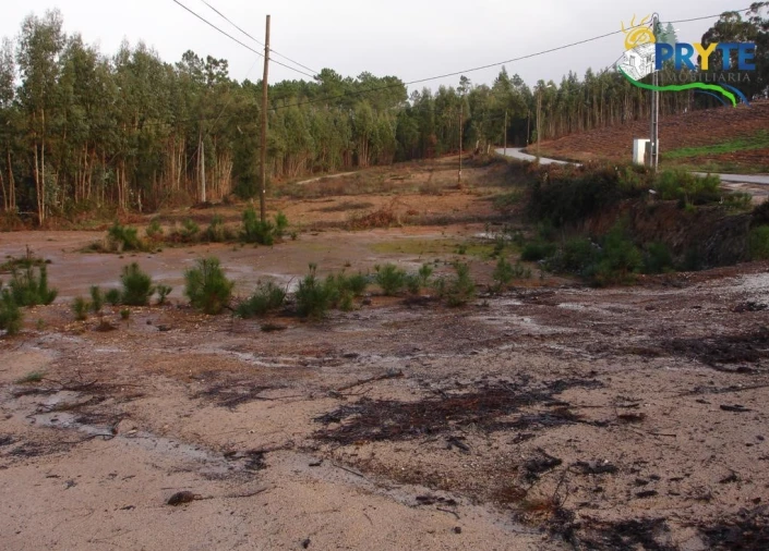 Terreno para Venda em Cernache do Bonjardim, Nesperal e Palhais Foto 3