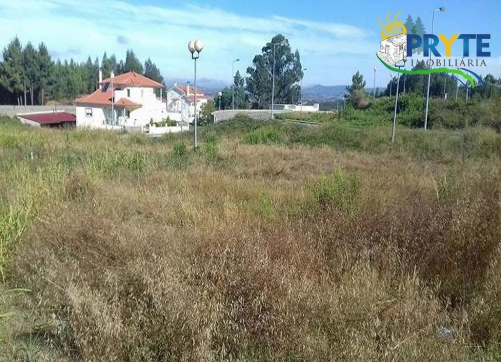 Terreno para Venda em Cernache do Bonjardim, Nesperal e Palhais Foto 7