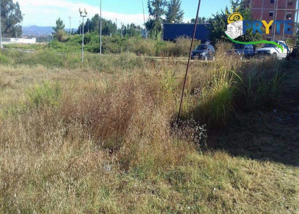 Terreno para Venda em Cernache do Bonjardim, Nesperal e Palhais Foto 9