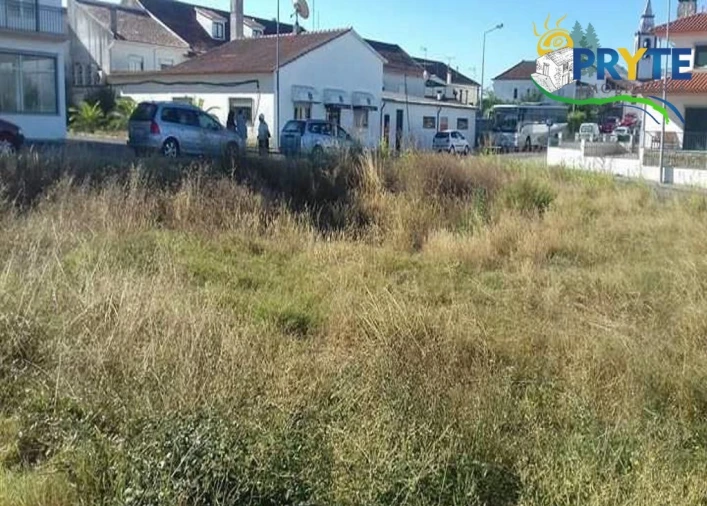 Terreno para Venda em Cernache do Bonjardim, Nesperal e Palhais Foto 8