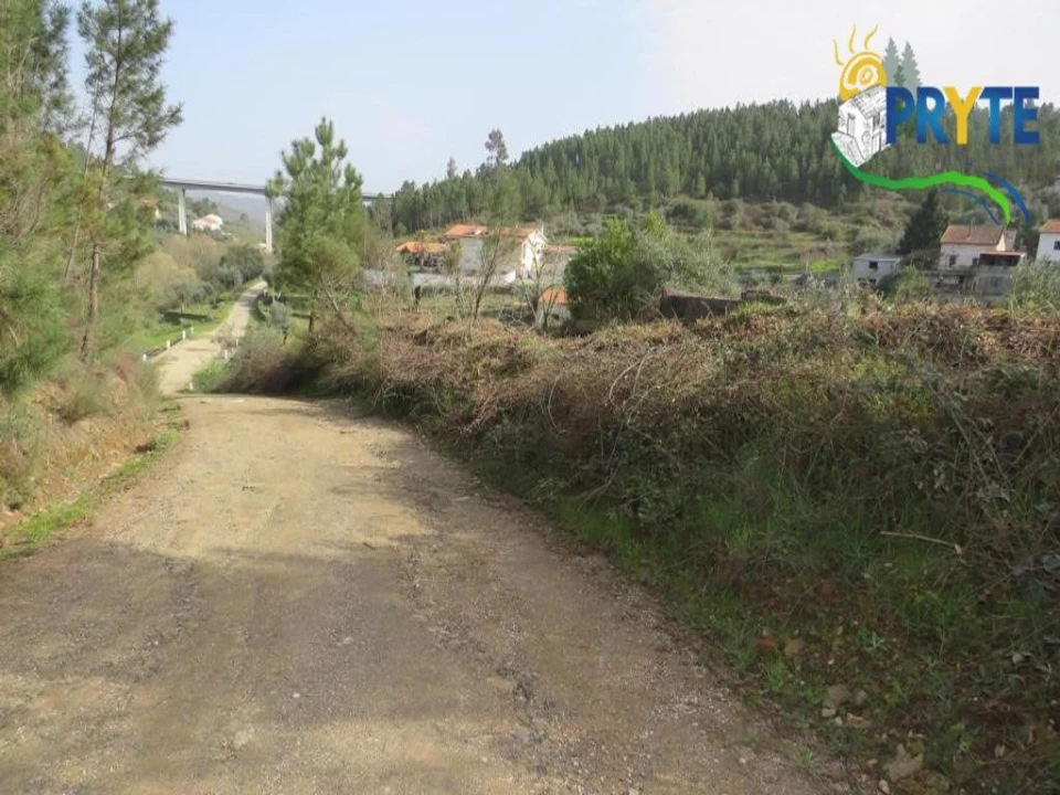 Terreno para Venda em Sertã Foto 2