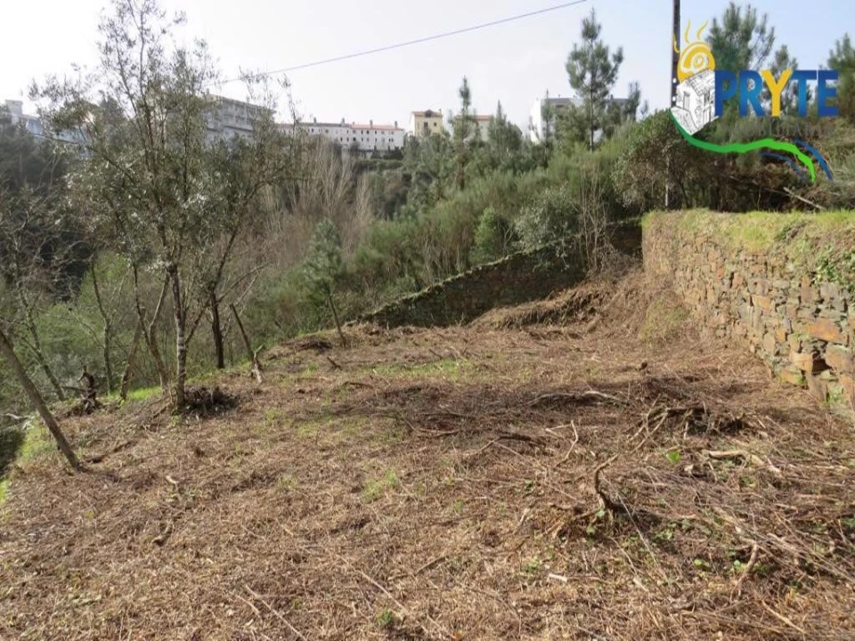 Terreno para Venda em Sertã Foto 8