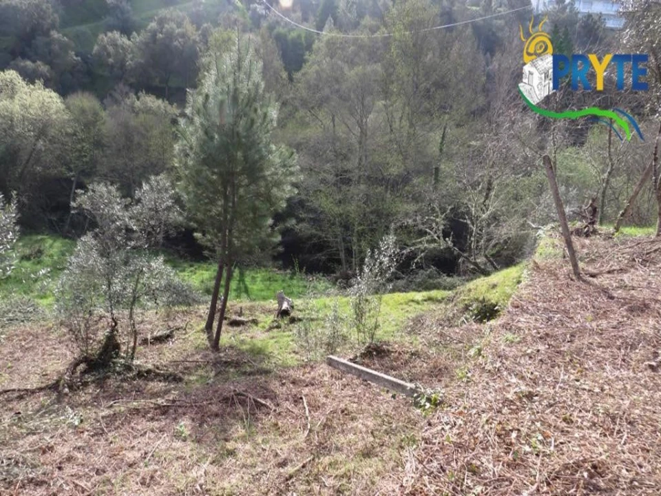Terreno para Venda em Sertã Foto 9