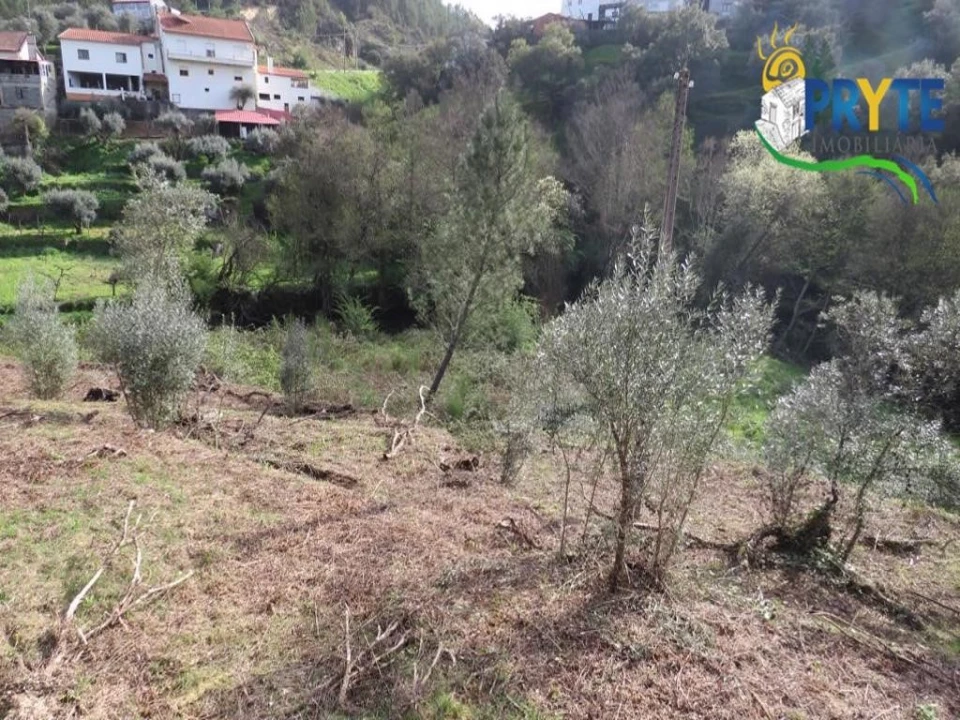 Terreno para Venda em Sertã Foto 10