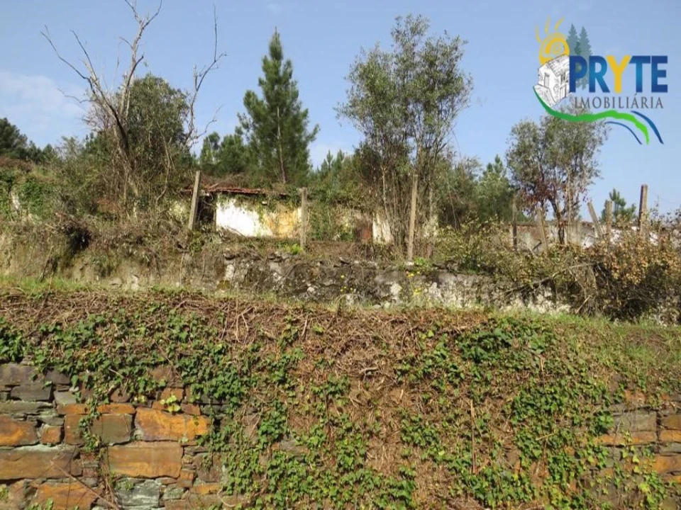 Terreno para Venda em Sertã Foto 12