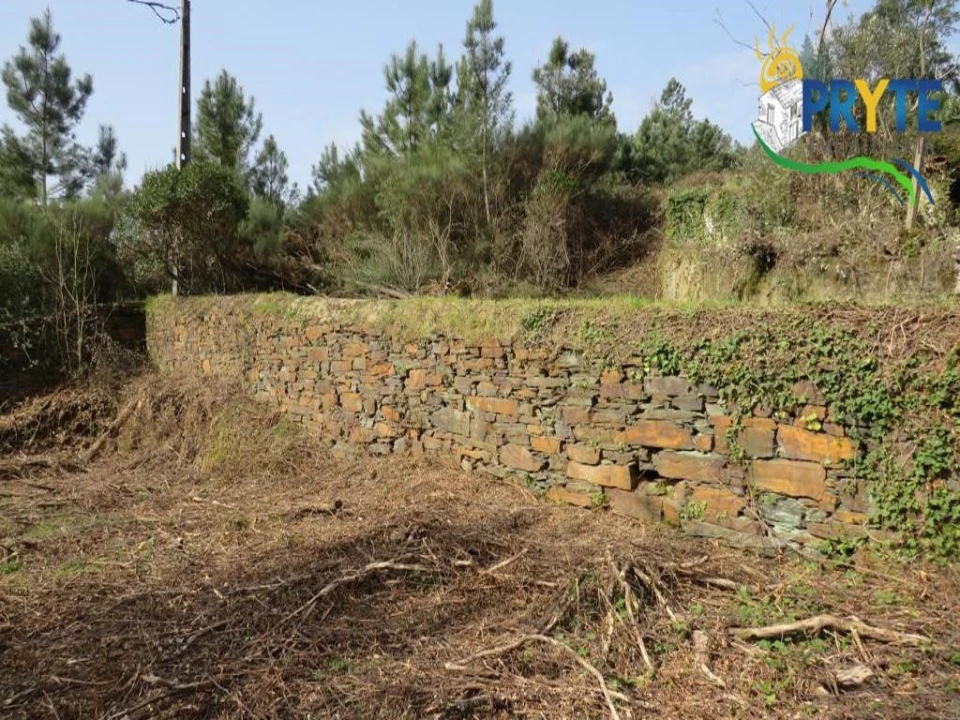 Terreno para Venda em Sertã Foto 14