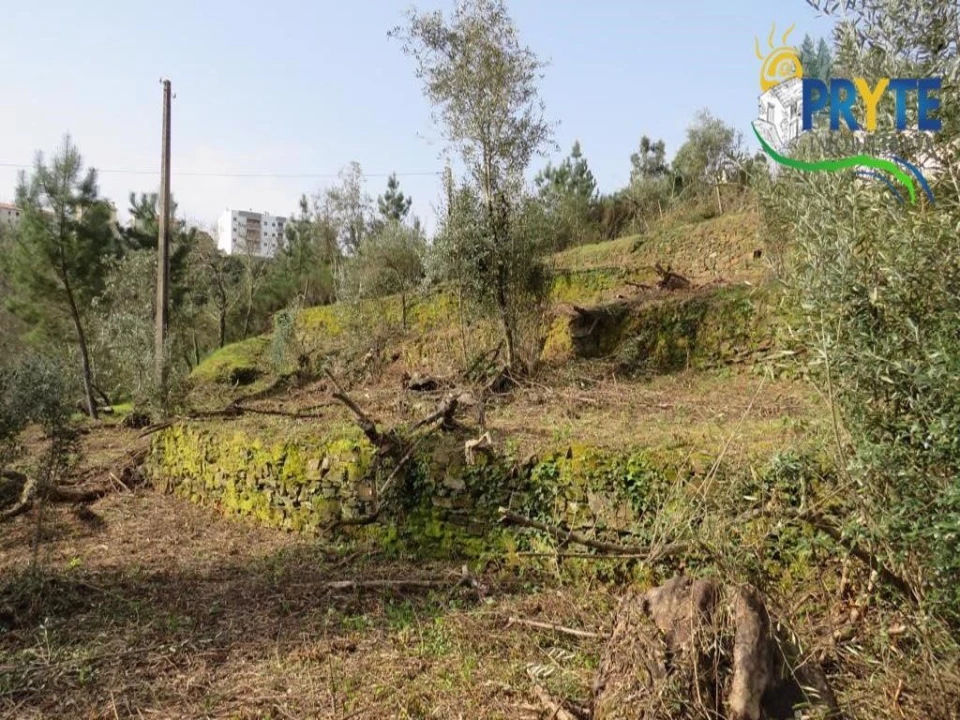 Terreno para Venda em Sertã Foto 18