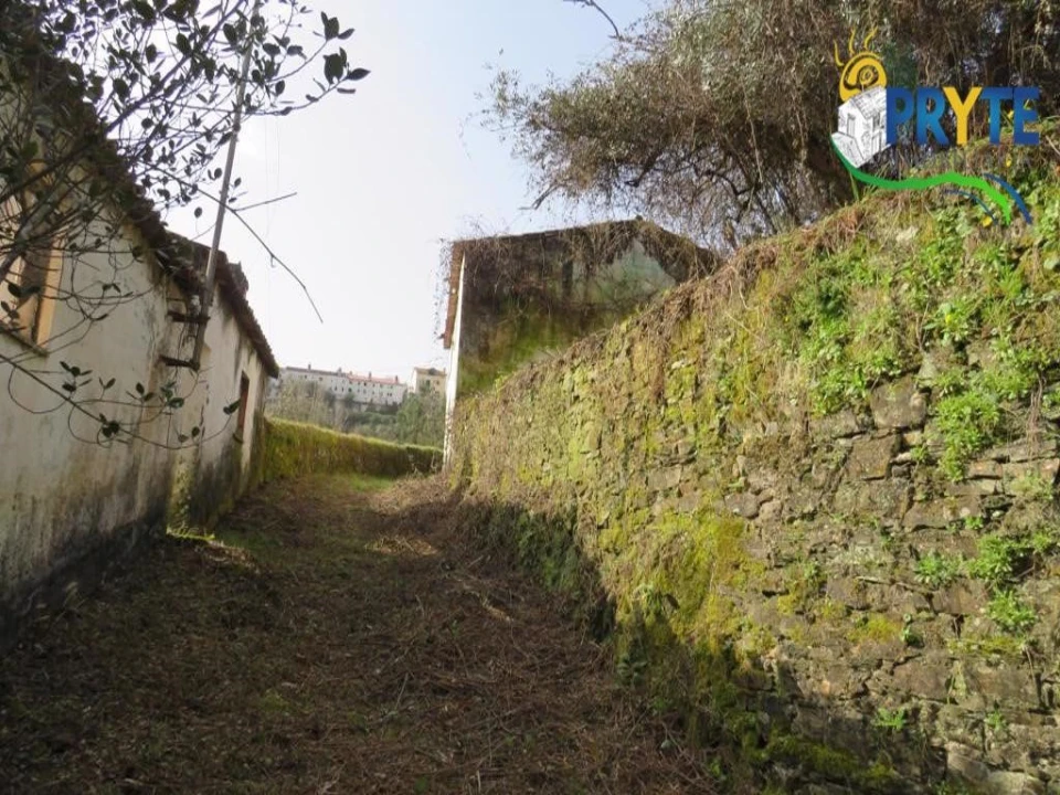 Terreno para Venda em Sertã Foto 20