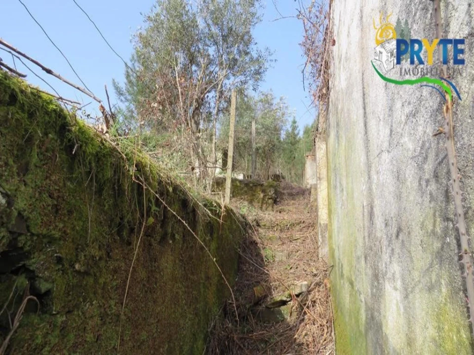 Terreno para Venda em Sertã Foto 21