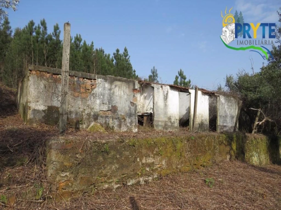 Terreno para Venda em Sertã Foto 23