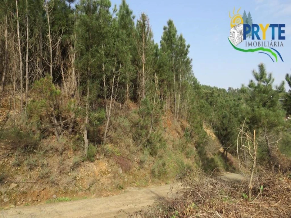 Terreno para Venda em Sertã Foto 25
