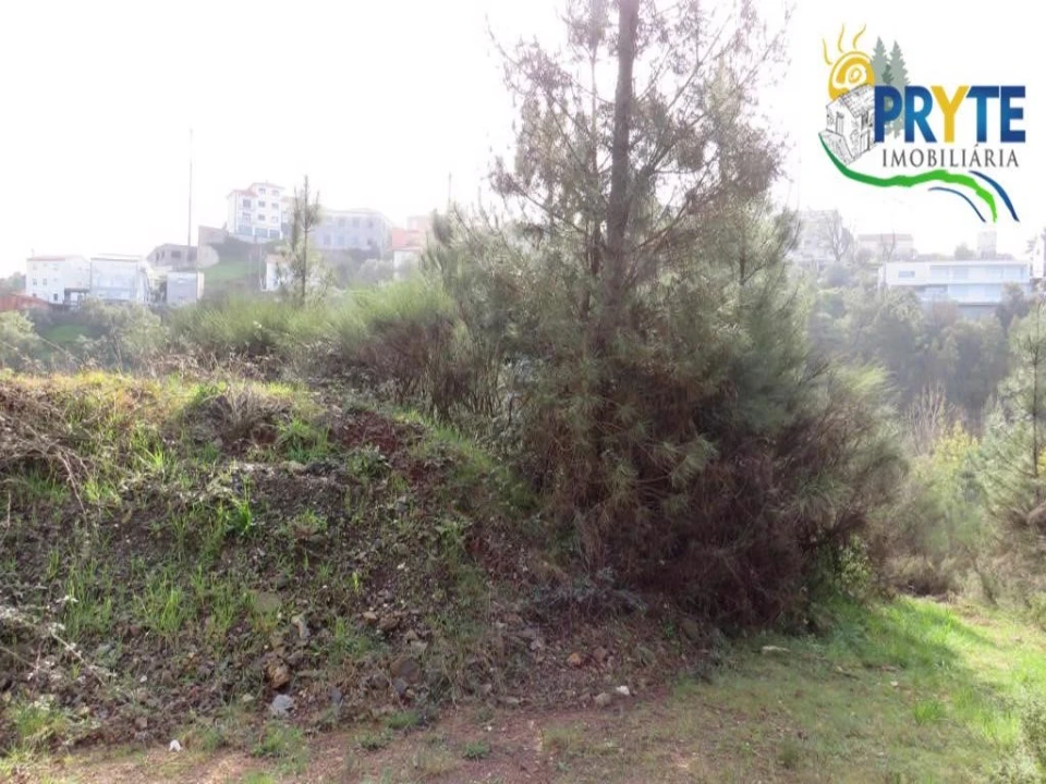 Terreno para Venda em Sertã Foto 29