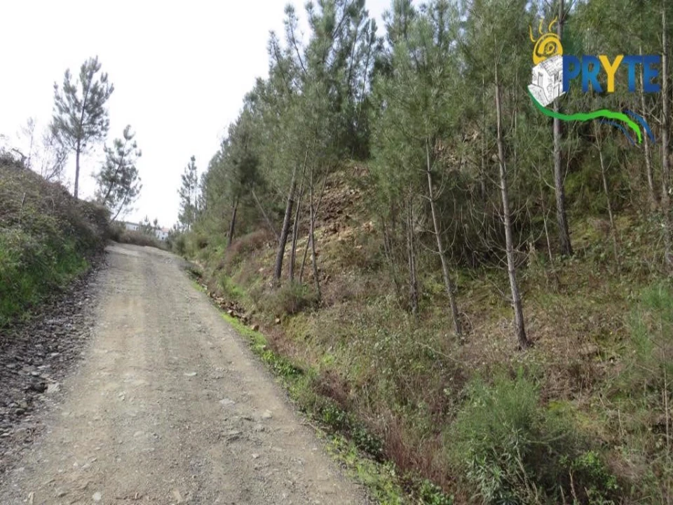 Terreno para Venda em Sertã Foto 35