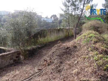 Terreno para Venda em Sertã