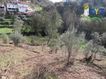 Terreno para Venda em Sertã