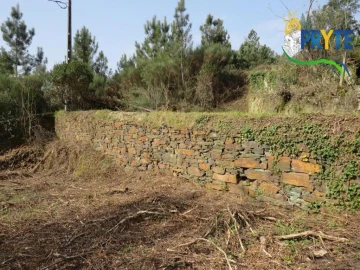 Terreno para Venda em Sertã