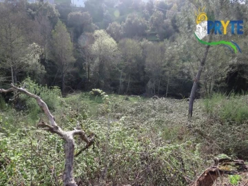 Terreno para Venda em Sertã