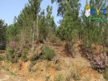 Terreno para Venda em Sertã