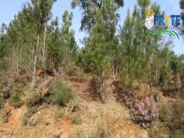 Terreno para Venda em Sertã